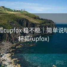 茶杯狐cupfox 稳不稳｜简单说明，茶杯狐(upfox)