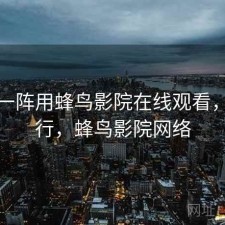 用了一阵用蜂鸟影院在线观看，行不行，蜂鸟影院网络