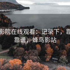 蜂鸟影院在线观看：记录下，靠谱不靠谱，蜂鸟影站