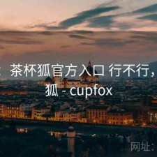 随记：茶杯狐官方入口 行不行，茶杯狐 - cupfox