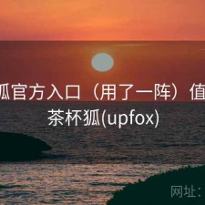 茶杯狐官方入口（用了一阵）值不值，茶杯狐(upfox)
