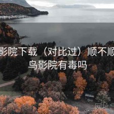 蜂鸟影院下载（对比过）顺不顺，蜂鸟影院有毒吗
