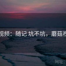 蘑菇视频：随记 坑不坑，蘑菇视屏怕