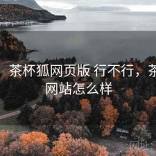 一笔：茶杯狐网页版 行不行，茶杯狐网站怎么样