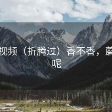 蘑菇视频（折腾过）香不香，蘑菇视呢