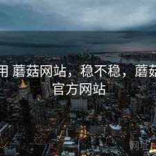 反复用 蘑菇网站，稳不稳，蘑菇网络官方网站