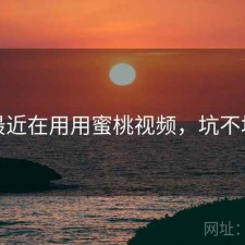 最近在用用蜜桃视频，坑不坑