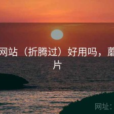 蘑菇网站（折腾过）好用吗，蘑菇网片