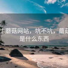 对比过 蘑菇网站，坑不坑，蘑菇平台是什么东西