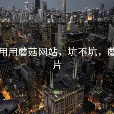 反复用用蘑菇网站，坑不坑，蘑菇网片