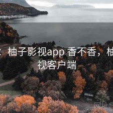 短评：柚子影视app 香不香，柚子影视客户端
