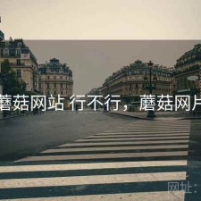 蘑菇网站 行不行，蘑菇网片