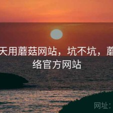 这两天用蘑菇网站，坑不坑，蘑菇网络官方网站