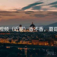 蘑菇视频（近期）香不香，蘑菇视呢