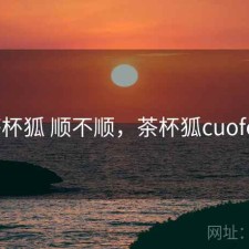 茶杯狐 顺不顺，茶杯狐cuofox