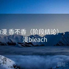 age动漫 香不香（阶段结论），age动漫bleach