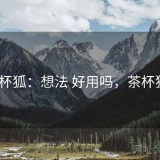 茶杯狐：想法 好用吗，茶杯狐a