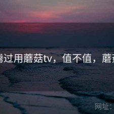 折腾过用蘑菇tv，值不值，蘑菇vr