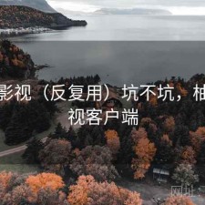 柚子影视（反复用）坑不坑，柚子影视客户端