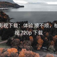 柚子影视下载：体验 顺不顺，柚子影视 720p 下载