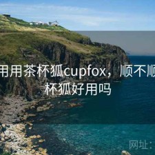 反复用用茶杯狐cupfox，顺不顺，茶杯狐好用吗