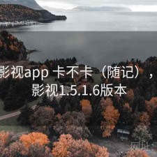 柚子影视app 卡不卡（随记），柚子影视1.5.1.6版本