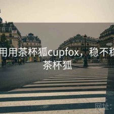 反复用用茶杯狐cupfox，稳不稳，1.茶杯狐