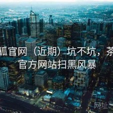 茶杯狐官网（近期）坑不坑，茶杯狐官方网站扫黑风暴