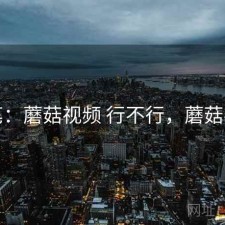 一笔：蘑菇视频 行不行，蘑菇视呢