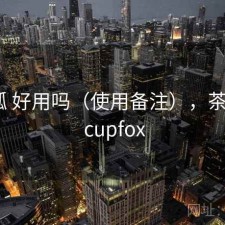 茶杯狐 好用吗（使用备注），茶杯狐 - cupfox