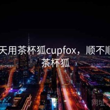 这几天用茶杯狐cupfox，顺不顺，1.茶杯狐
