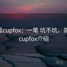 茶杯狐cupfox：一笔 坑不坑，茶杯狐 cupfox介绍