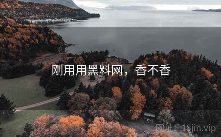 刚用用黑料网,香不香 第2张 刚用用黑料网,香不香 第2张